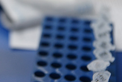 成都私密亲子鉴定到哪里做，成都匿名亲子鉴定准不准