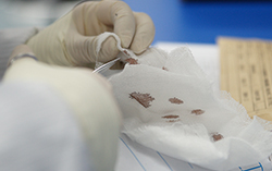 成都血缘检测医院在哪,成都权威DNA亲子鉴定医院 成都血缘检测医院在哪,成都权威DNA亲子鉴定医院